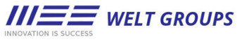 Welt Groups Logo